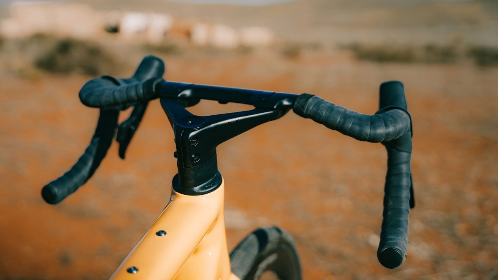 Tablet & Desktop image