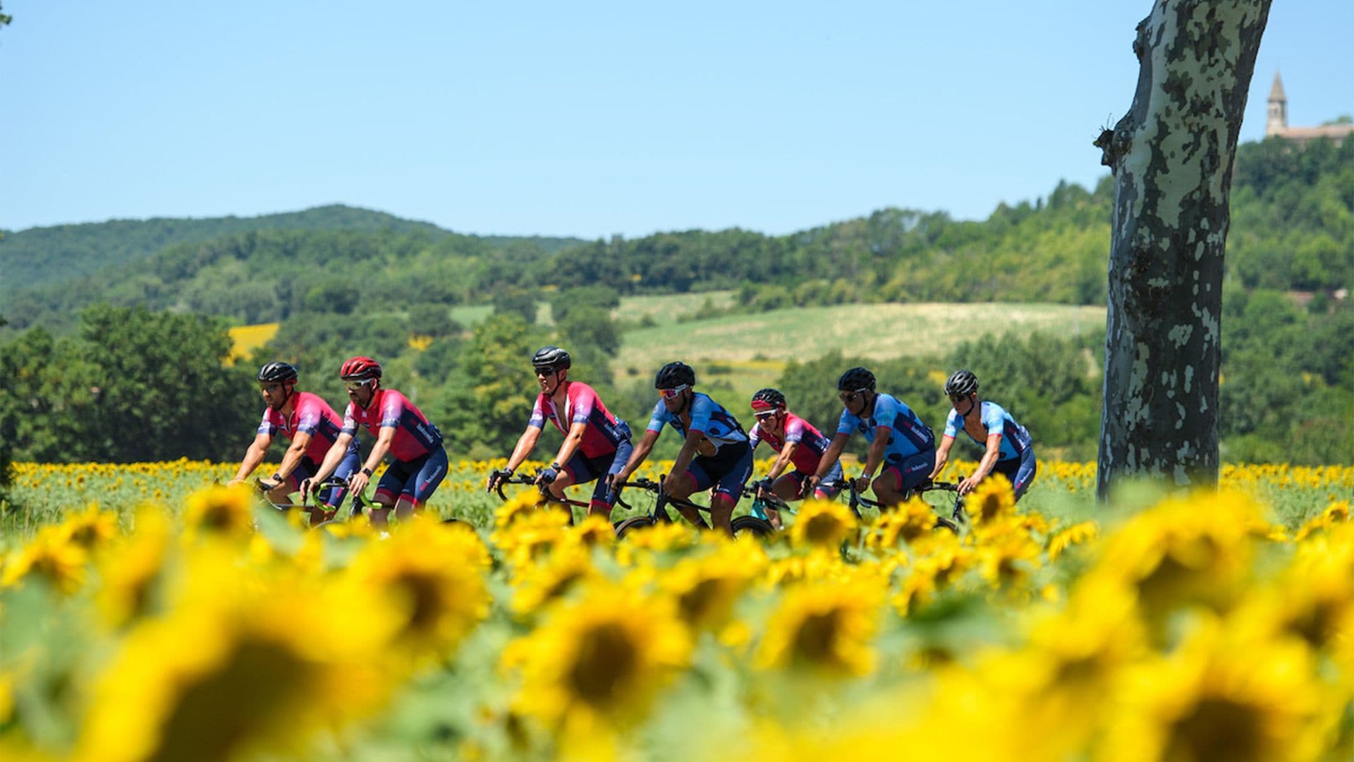 Tablet & Desktop image