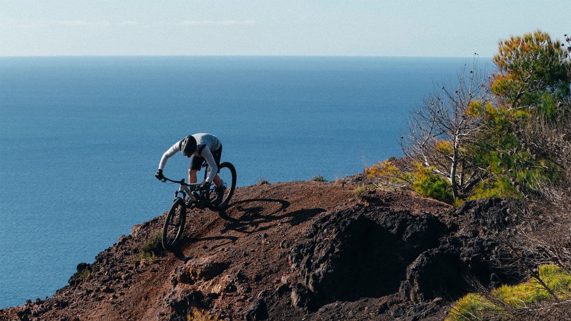 Tablet & Desktop image