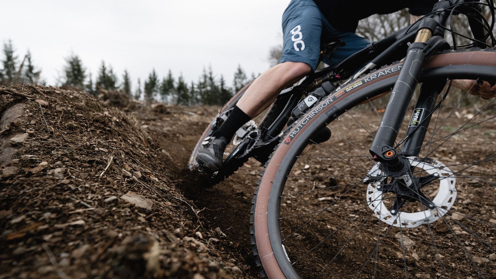 Tablet & Desktop image