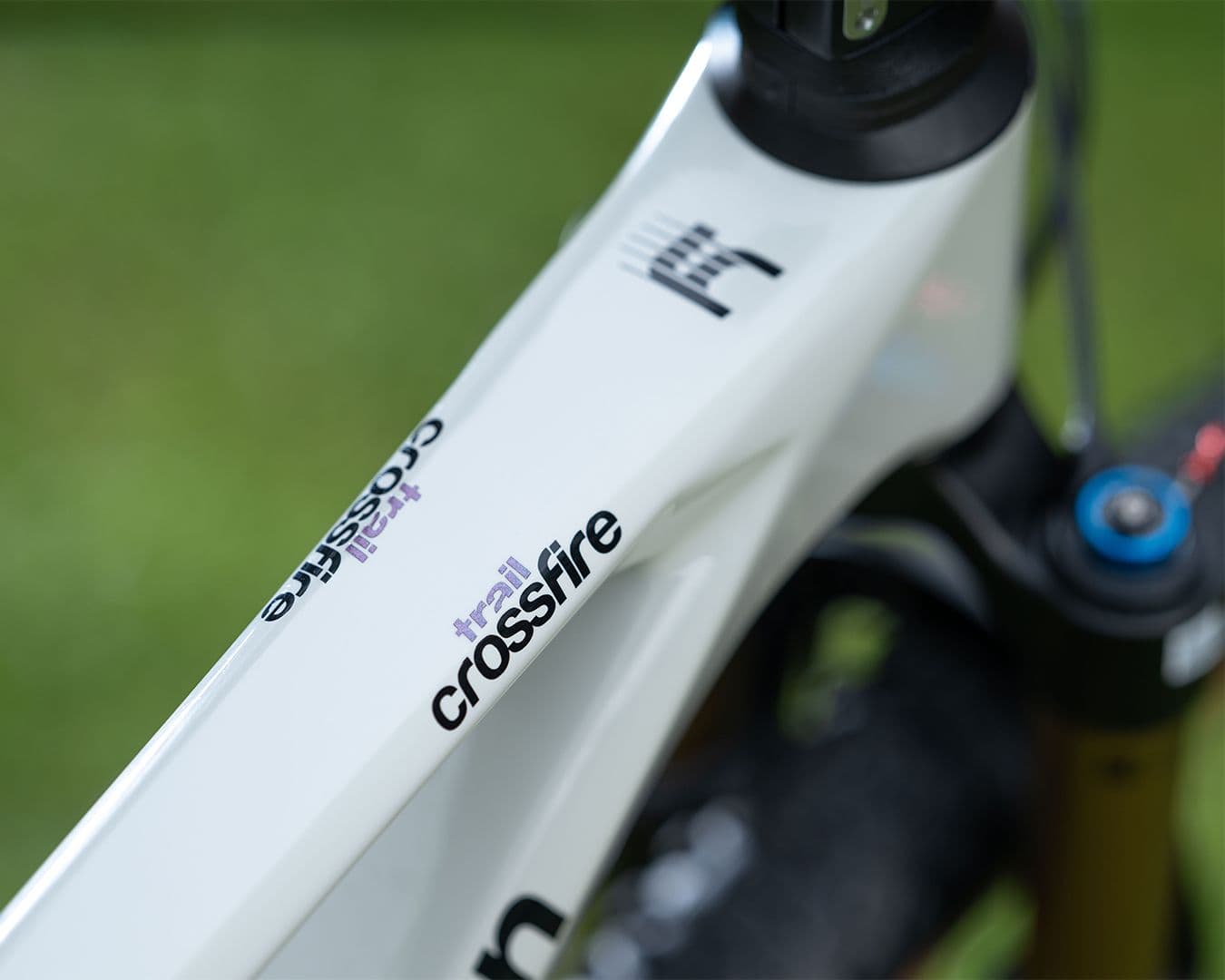 Lee Cougan Crossfire - Decals