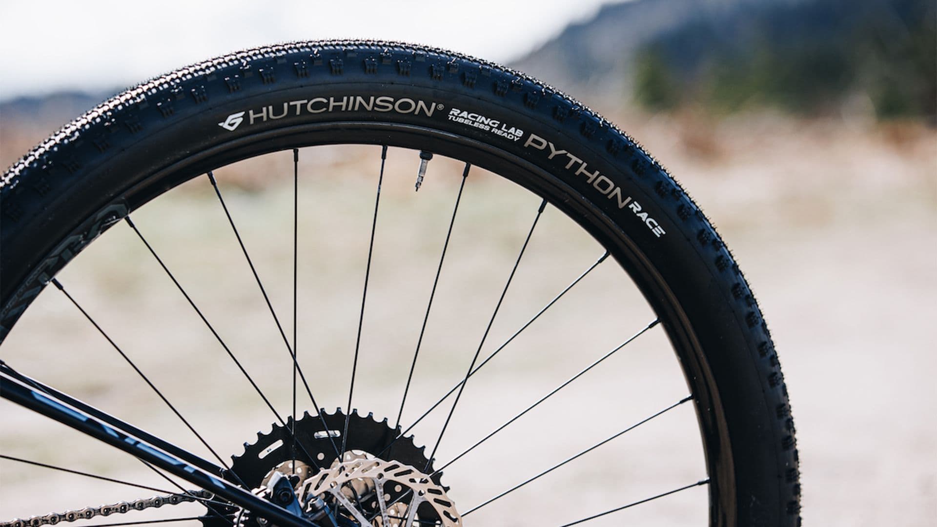 Tablet & Desktop image