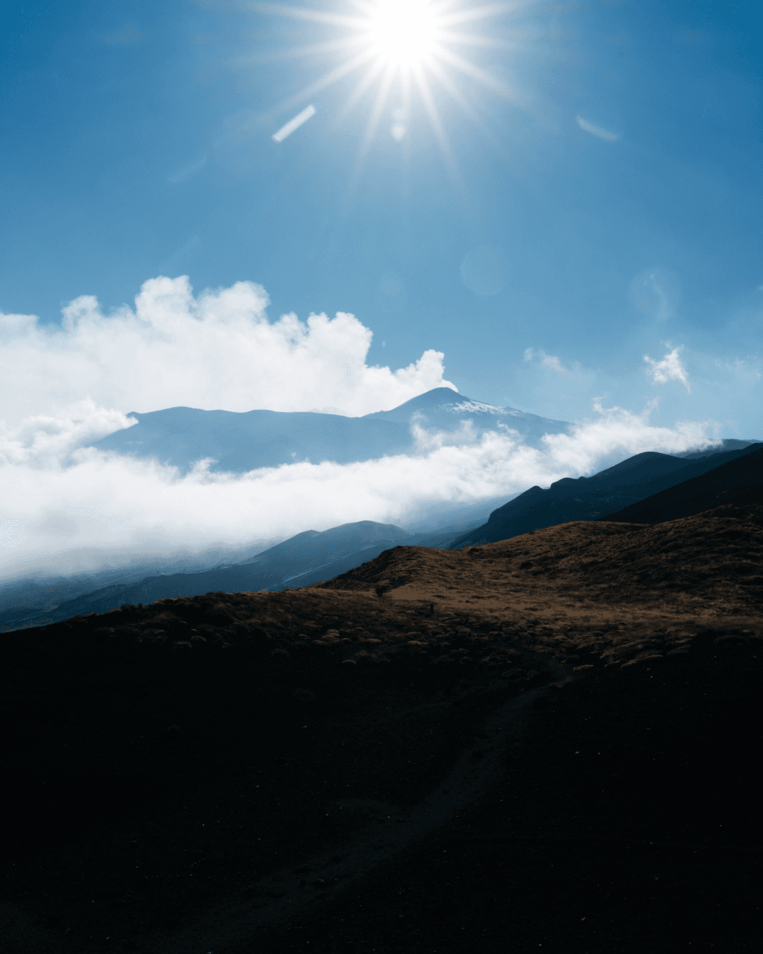 PaceUp Project Image