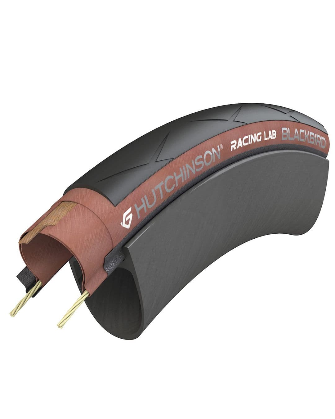 Hutchinson blackbird tire cross-section