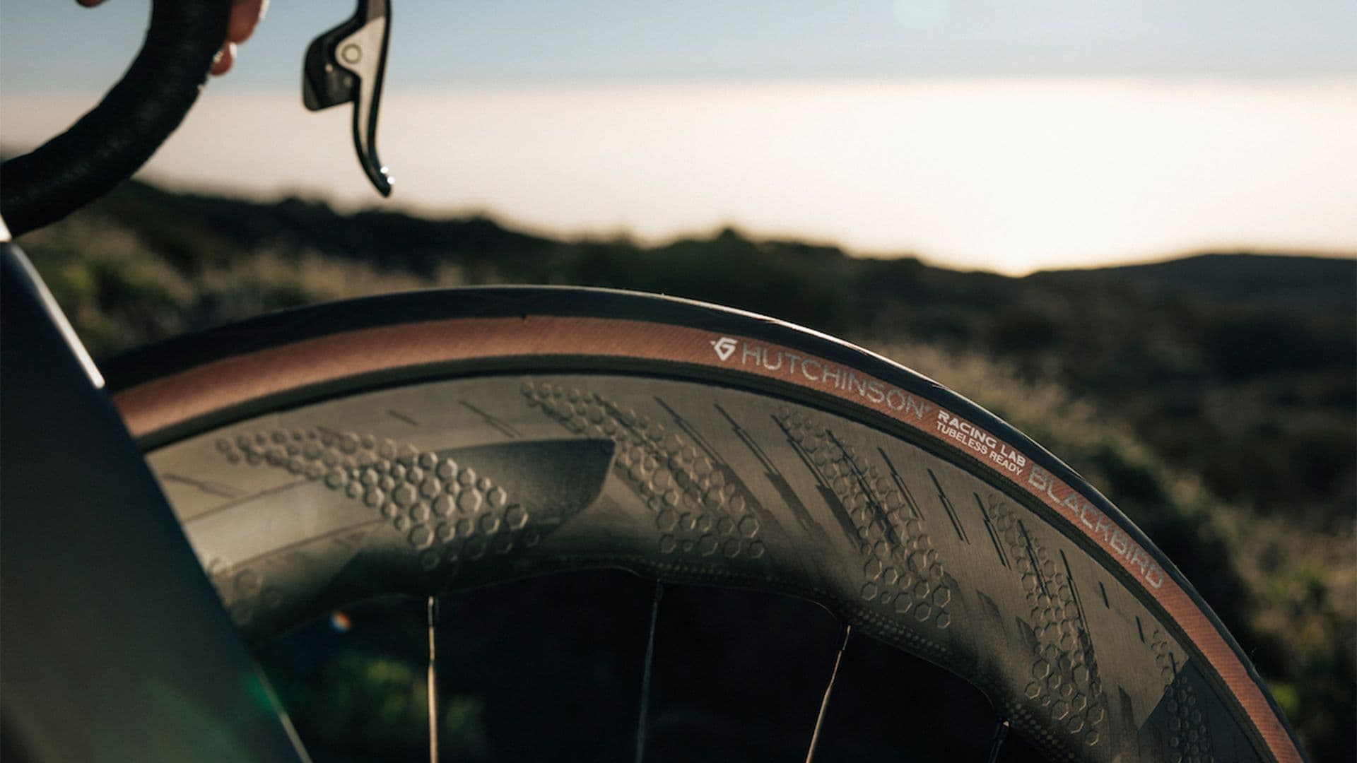 Tablet & Desktop image